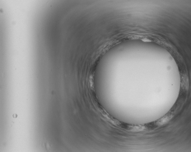 X0000066520621200603170952