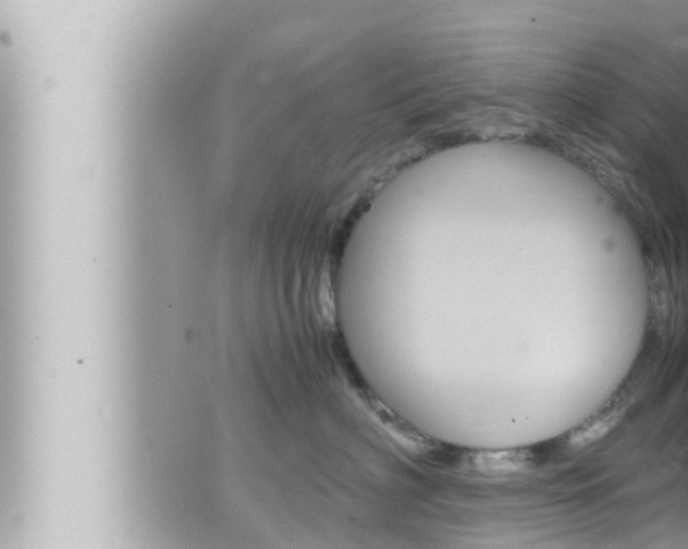 X0000066520622200603170952