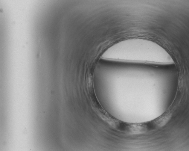 X0000066520623200603170952