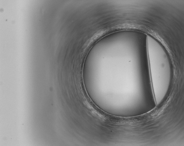 X0000066520625200603170951