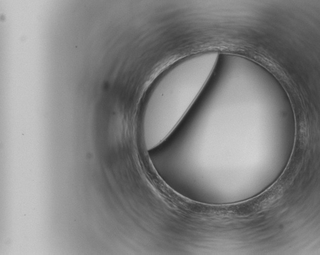 X0000066520626200603170951