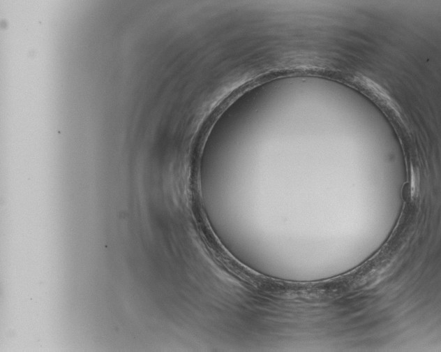 X0000066520627200603170951