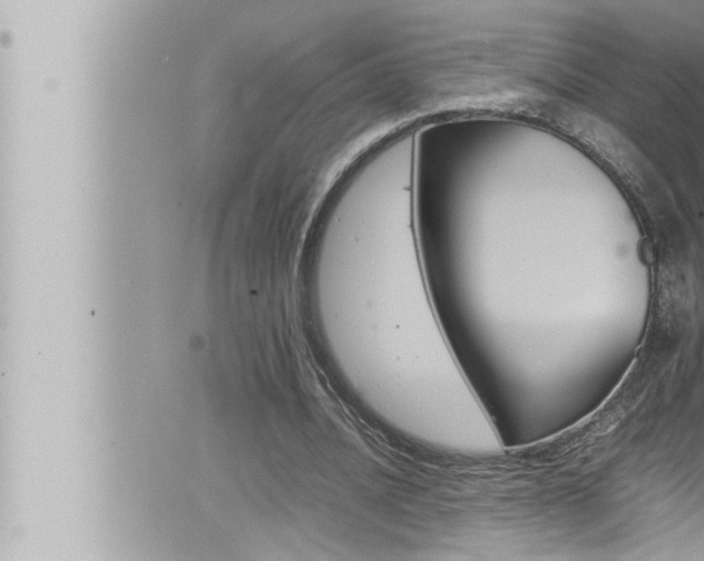 X0000066520628200603170951