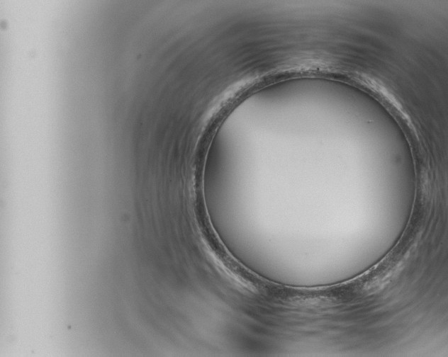 X0000066520629200603170951