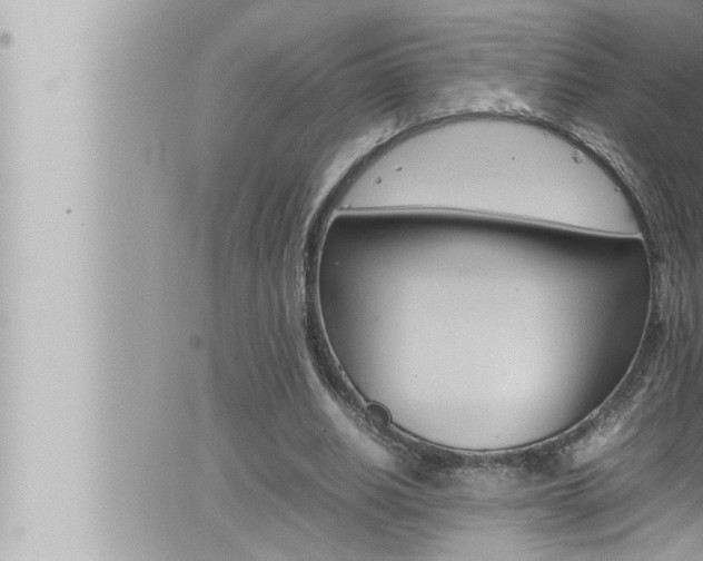 X0000066520630200603170951