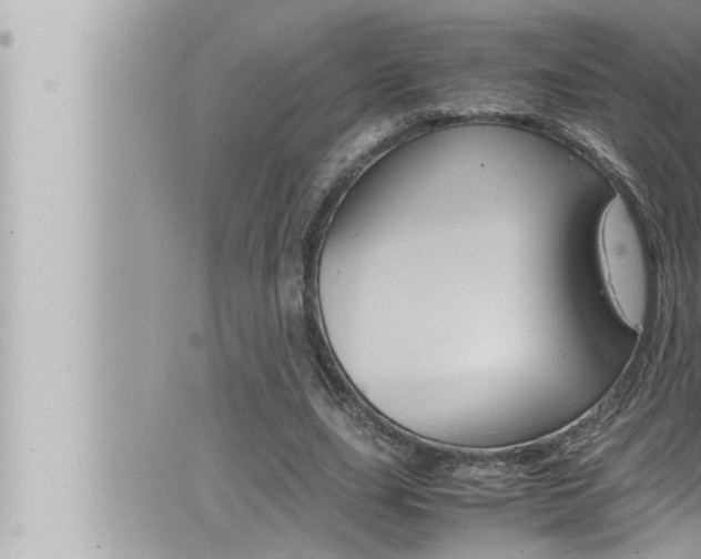 X0000066520631200603170951