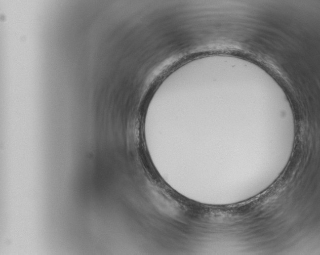 X0000066520632200603170951