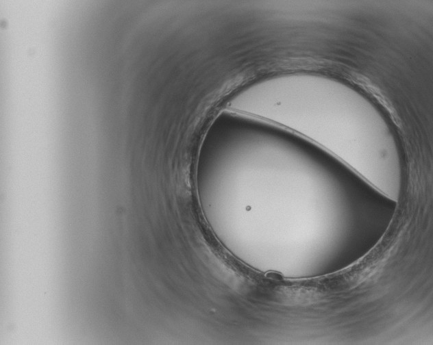 X0000066520633200603170951