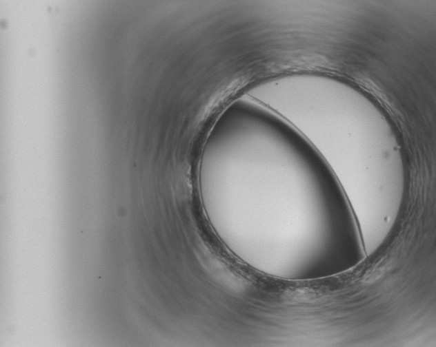 X0000066520634200603170951