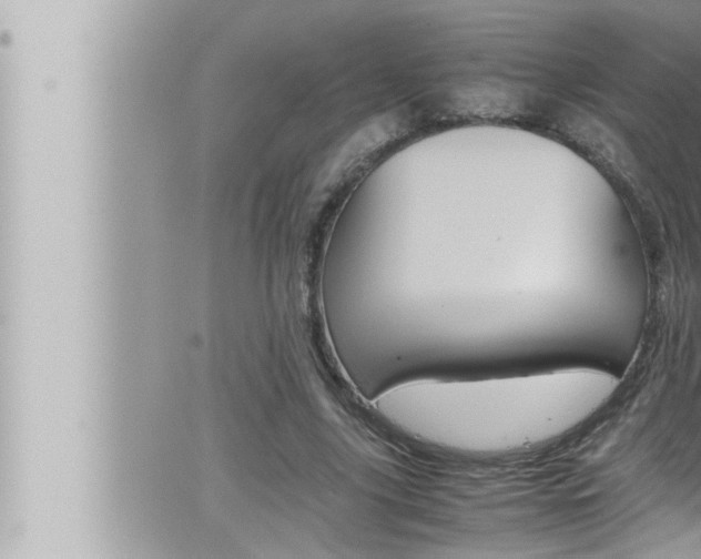 X0000066520635200603170951