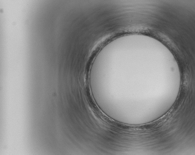 X0000066520636200603170951