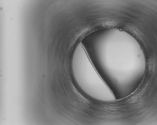 X0000066520637200603170951