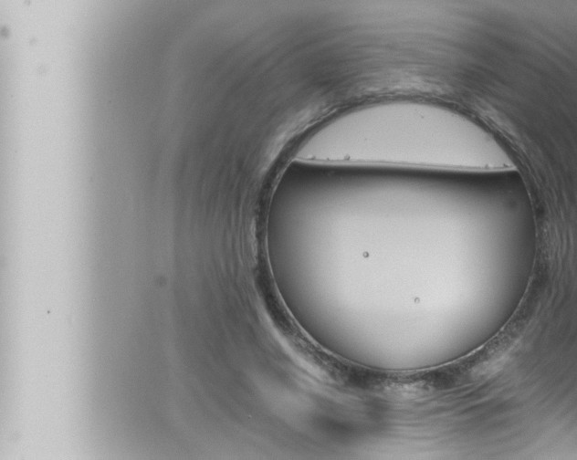 X0000066520638200603170951