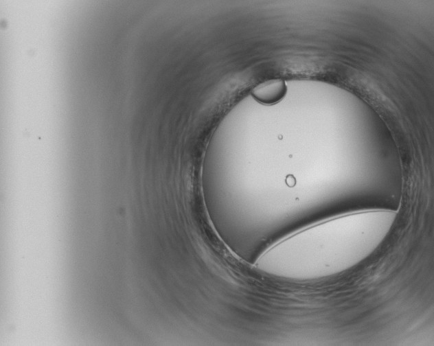 X0000066520639200603170951