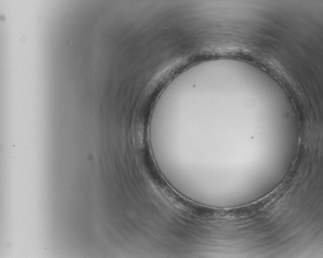 X0000066520640200603170951