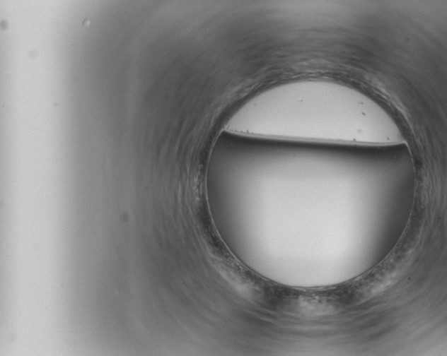 X0000066520641200603170951