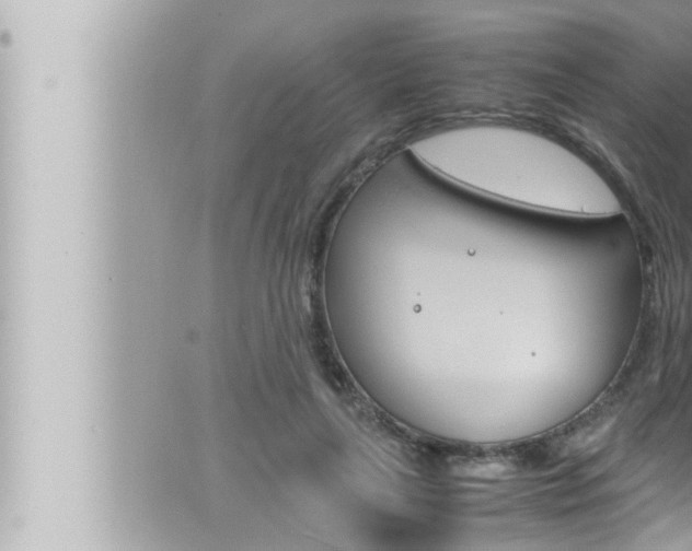 X0000066520643200603170951