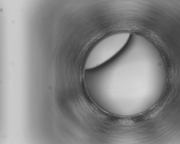 X0000066520644200603170951