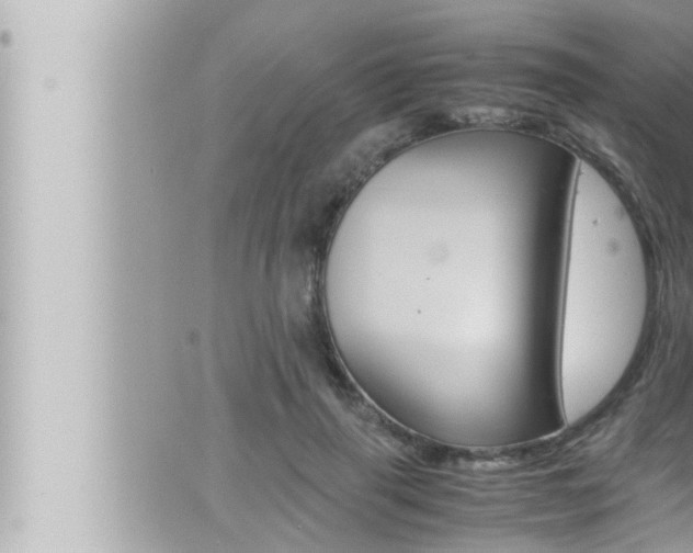 X0000066520645200603170951