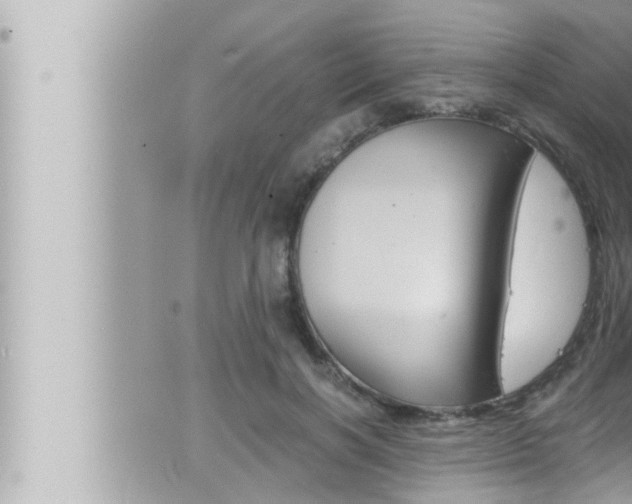 X0000066520646200603170951