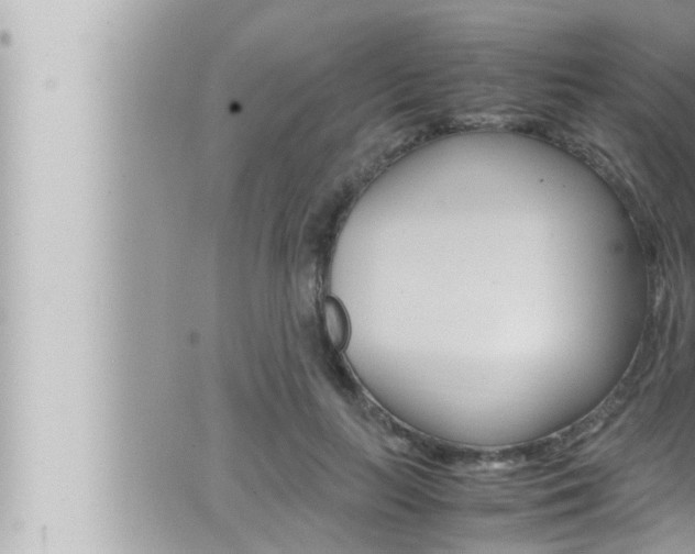 X0000066520647200603170951