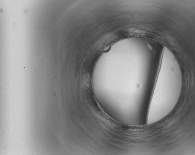 X0000066520649200603170951