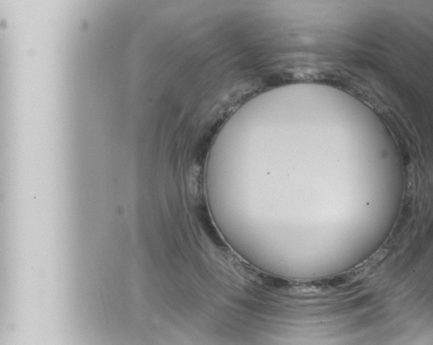 X0000066520650200603170951