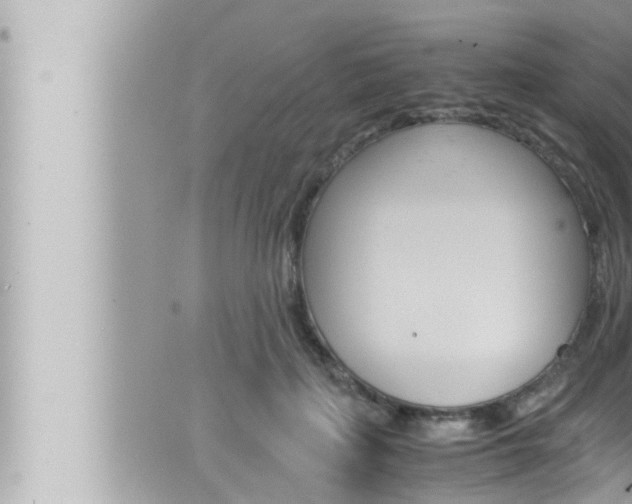 X0000066520651200603170951