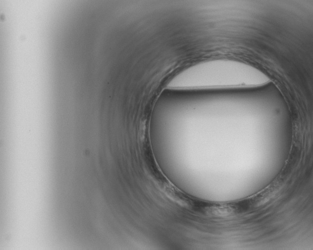 X0000066520652200603170951