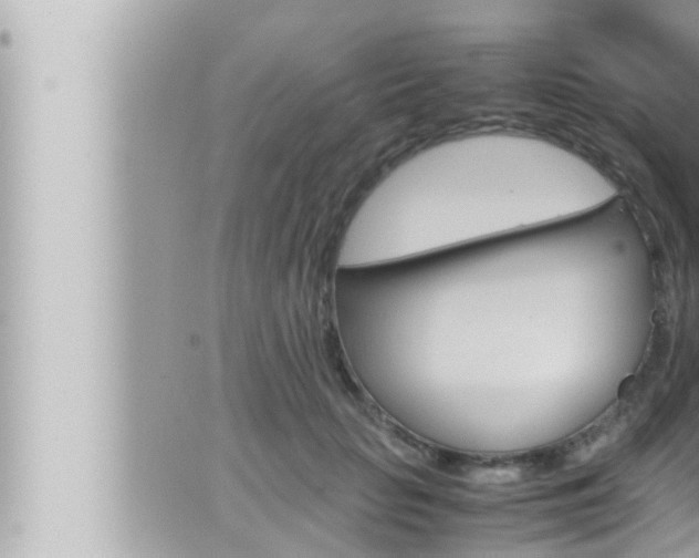 X0000066520653200603170951