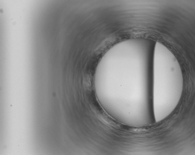 X0000066520654200603170951