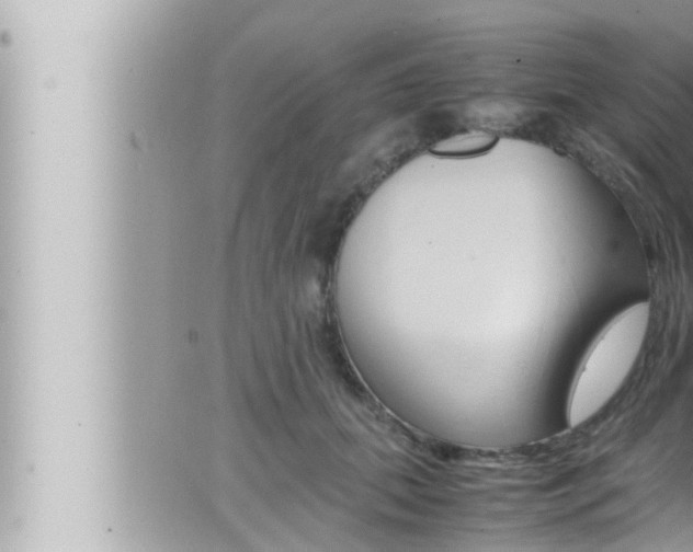 X0000066520655200603170951