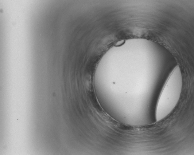 X0000066520656200603170951