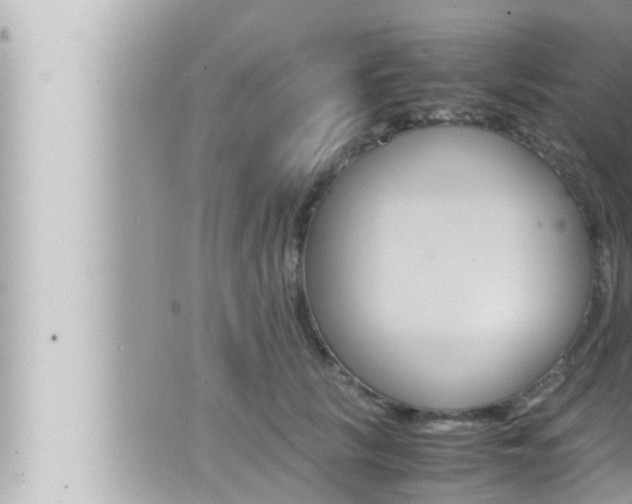 X0000066520657200603170951