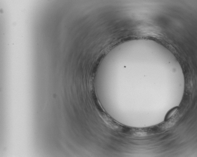 X0000066520658200603170951