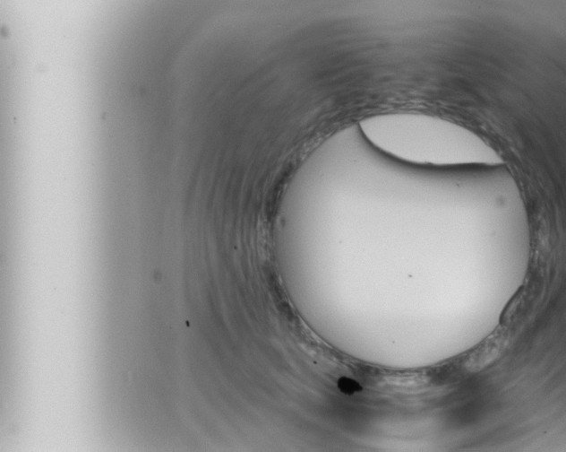 X0000066520659200603170951