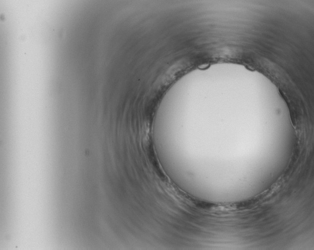 X0000066520660200603170951