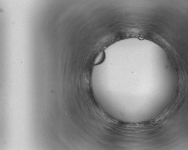 X0000066520661200603170951