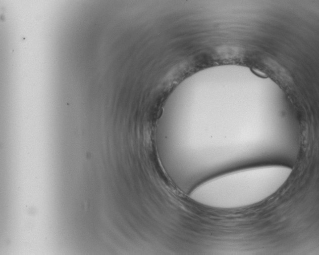 X0000066520662200603170951