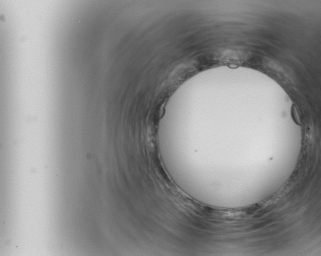 X0000066520663200603170951