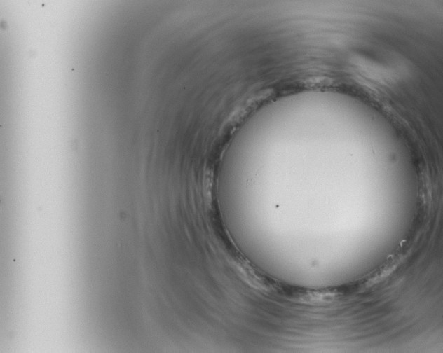 X0000066520664200603170951