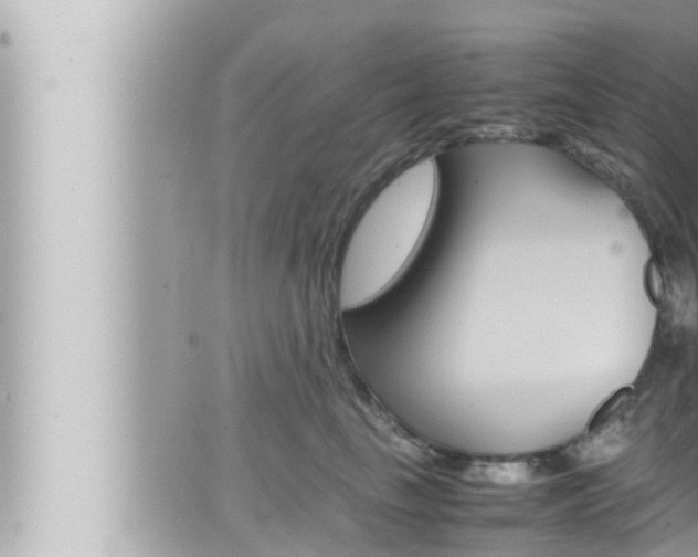 X0000066520665200603170951