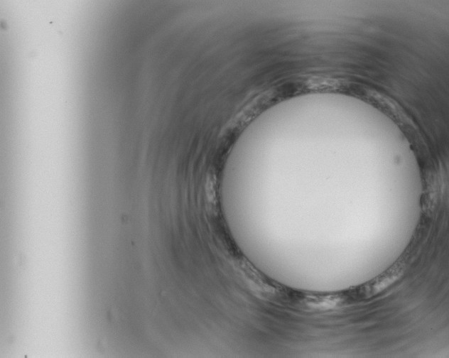 X0000066520667200603170951