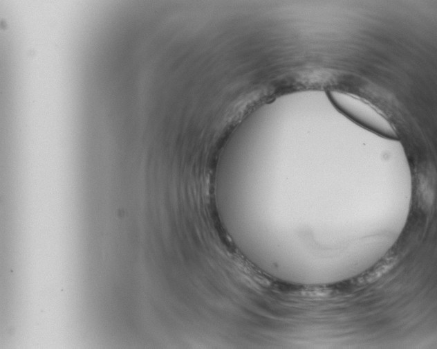 X0000066520668200603170951