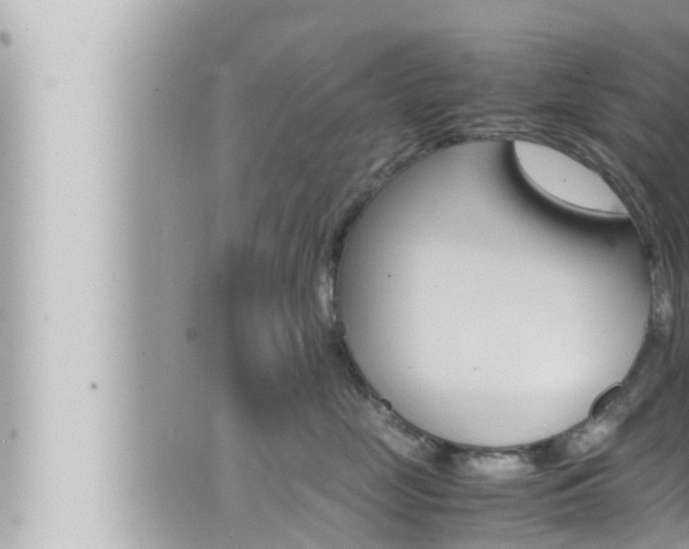 X0000066520669200603170951