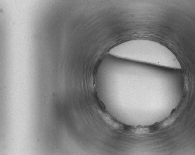 X0000066520670200603170951