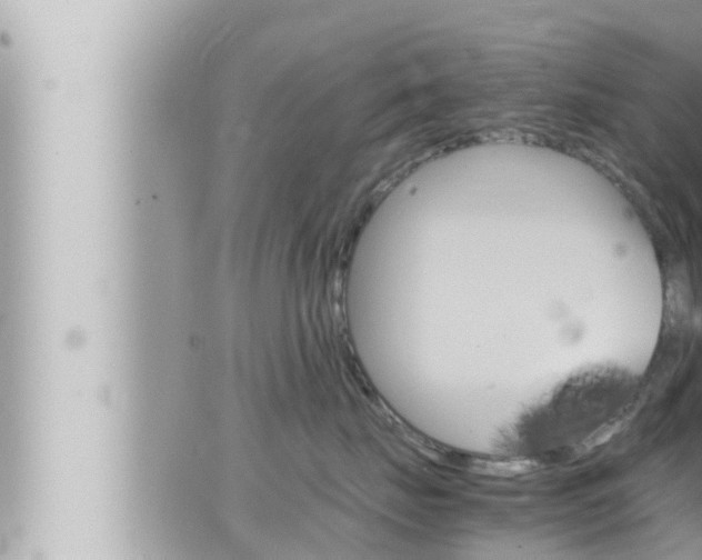 X0000066520671200603170951