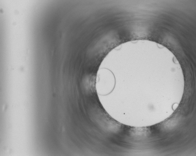 X0000066520672200603170951