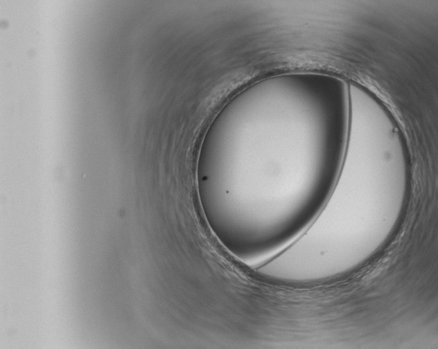 X0000066520673200603170951