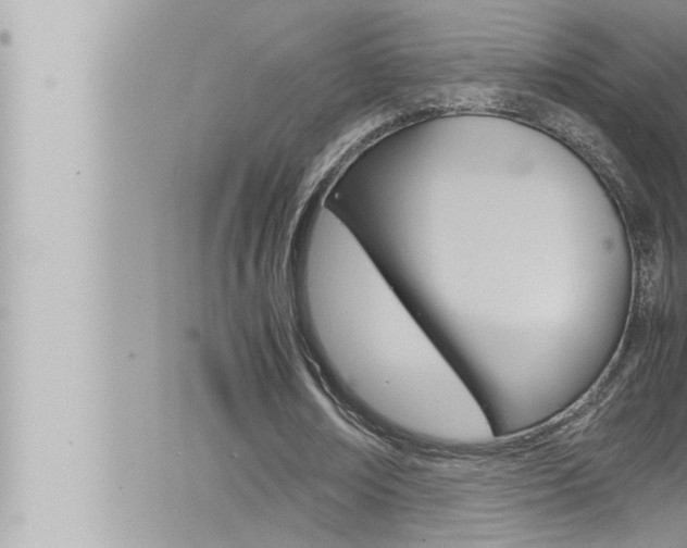 X0000066520674200603170951